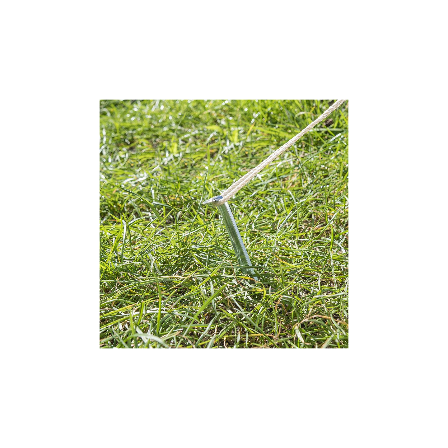 ProPlus - Halfronde metalen tentharing 30 cm - set van 10