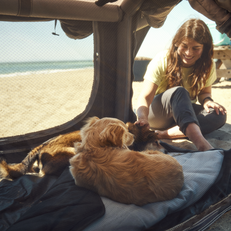 Dometic - K9 80 AIR - Inflatable dog crate