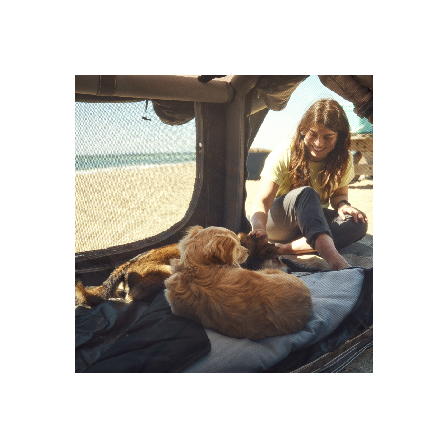 Dometic - K9 80 AIR - Inflatable dog crate